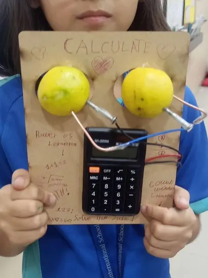 Can you power a calculator with lemons? This student found out that you can. A classic experiment that demonstrates the power of battery science.