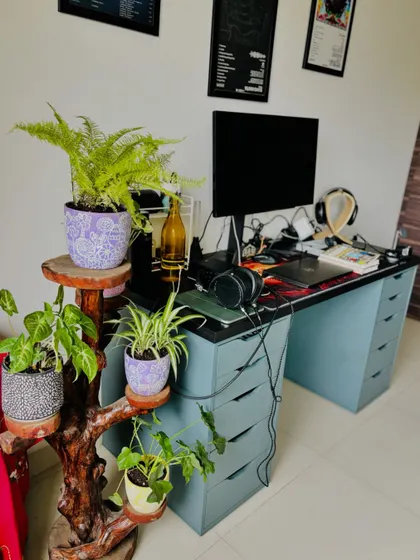 Your workspace should be a place of wellness. Here, we added a sustainable coffee stump stand and air-purifying plants to bring a breath of fresh air and a personal touch to a home office.