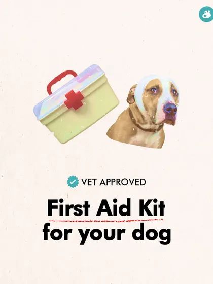This is the title card for our vet-approved guide to building a first-aid kit for your dog. Being prepared for medical emergencies is a critical part of responsible pet ownership.