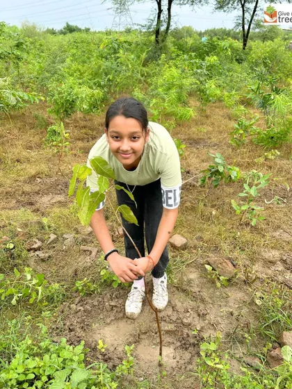 A young girl proudly holds a sapling she is about to plant. We love seeing the next generation take an active role in our community drives.