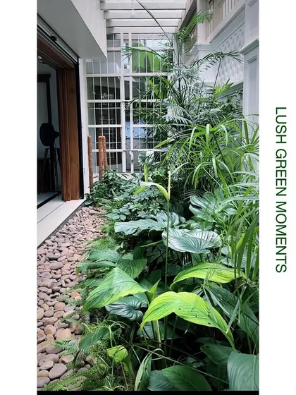 A close-up of a lush green moment we created in a residential side yard. We layered various plants with different leaf textures and shades of green, like peace lilies and palms, alongside a pebble bed to create a dense, tropical feel.