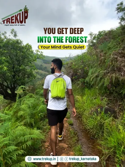 You get deep into the forest, and your mind gets quiet. A trekker walking along a lush, fern-lined path on the Bandaje trail.