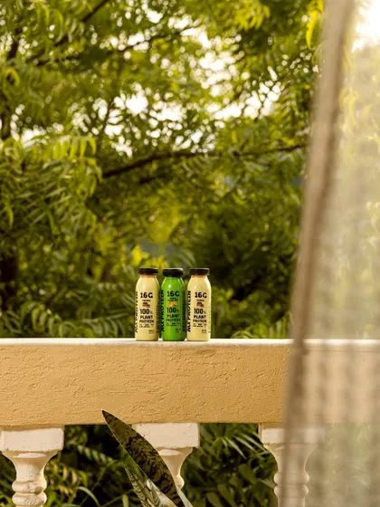 A serene lifestyle shot of Alt Co. plant-based milk bottles resting on a balcony railing with a lush green background. This image connects the product with a peaceful, natural, and healthy morning routine.