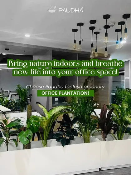Breathe new life into your office. This image showcases a wide view of an office plantation I designed, demonstrating how bringing nature indoors can completely revitalize a corporate space.