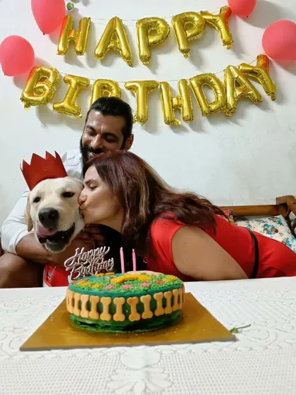 This is what pure happiness looks like. I love creating these moments for pet parents and their babies, like for Pablo the Labrador's birthday. Here he is, looking like a king in his party crown, getting all the love from his family, right before digging into his special dog-friendly birthday cake.