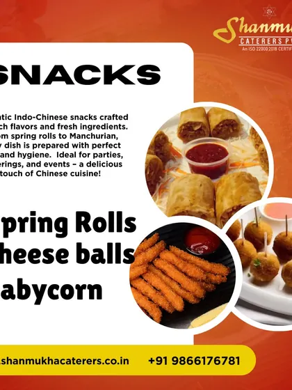 A showcase of our authentic Indo-Chinese snacks, including Spring Rolls, Cheese Balls, and Baby Corn, all prepared with perfect taste and hygiene.