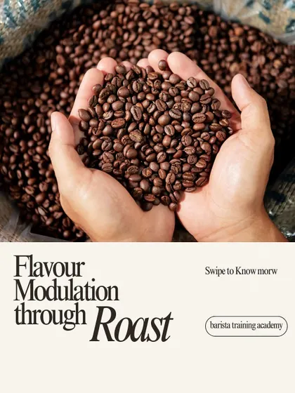 A visual introduction to flavor modulation through roasting. The roast is key to unlocking a coffee's true potential.