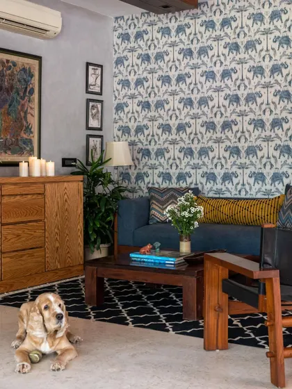 A cozy, lived-in moment in the Boho-Desi lounge. The space is designed to be welcoming for all family members, with a comfortable sofa, eclectic decor, and a charming cocker spaniel enjoying the room.