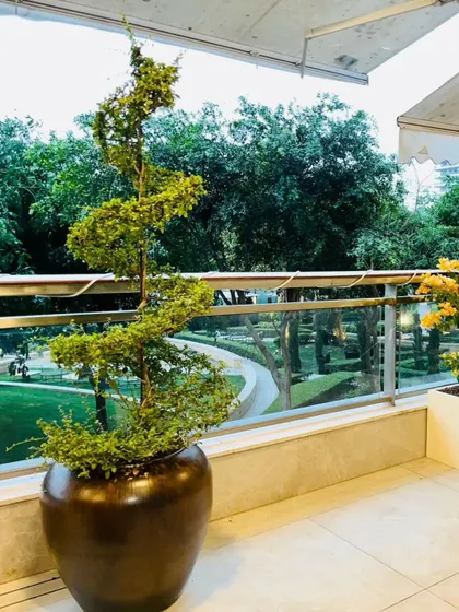A sculpted Juniper tree serves as a living piece of art on this balcony, adding a unique silhouette against the backdrop of the surrounding greenery. This is a great example of using a single statement plant to elevate a space.