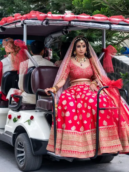The bride looks regal as she sits in the decorated buggy, ready for her wedding ceremony.