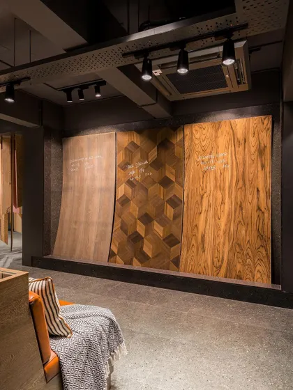 Large, curved veneer panels are displayed like works of art, showcasing the beauty and versatility of the material. The dramatic lighting highlights the unique grain and texture of each piece.
