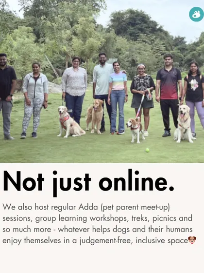 We are more than just an online group. We host regular 'Adda' sessions, which are our pet parent meetups, group workshops, and picnics. This is our community in action, creating a judgment-free and inclusive space for dogs and their humans.