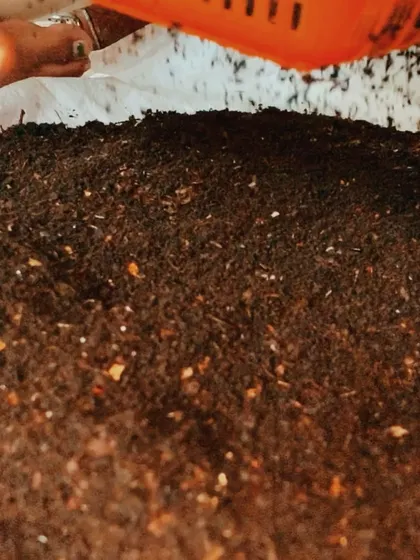 A close-up look at freshly harvested compost. This is what happens when you stop throwing your kitchen scraps in the bin and start treating them as a resource.