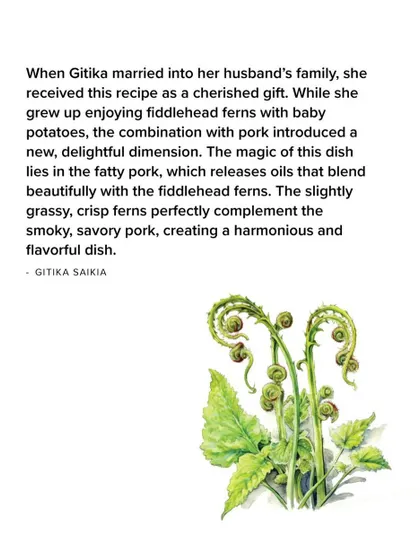 An illustration of fiddlehead ferns, the key ingredient in a cherished recipe Gitika received as a gift when she married into her husband's family.