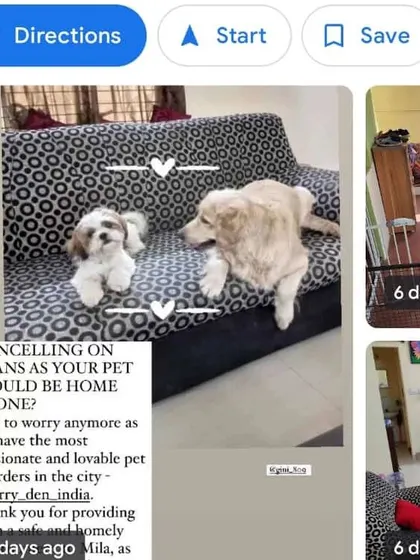 We are so happy to be discoverable on Google, making it easier for pet parents to find a safe and loving place for their pets.