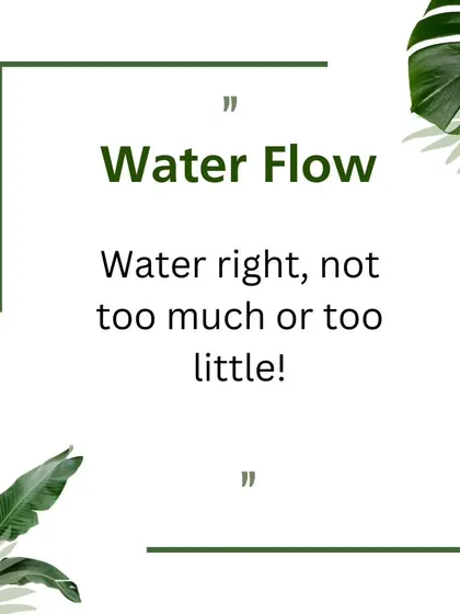 Our "Water Flow" tip graphic reminds clients that watering correctly is crucial. We provide guidance and services to ensure your plants get just the right amount.