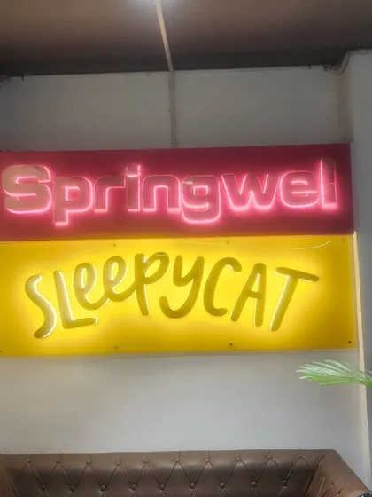 Custom neon signs are a fantastic way to showcase brand identity within an office space. I installed these bright and playful signs for 'Springwel' and 'Sleepycat', adding a modern and energetic touch to the corporate environment.