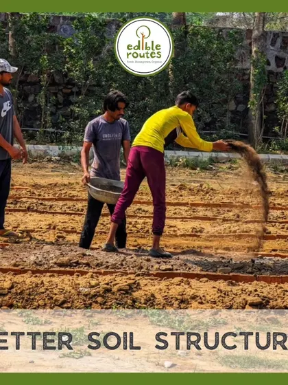 Our team preparing raised beds for planting. We teach the importance of good soil structure for healthy root development and better drainage, which are key to a successful garden.