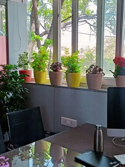 This is a duplicate of image 105. We believe a green office is a happy office. This is an indoor office garden setup we created, placing a variety of potted plants along the windowsill to bring natural beauty and fresh air into the workspace.