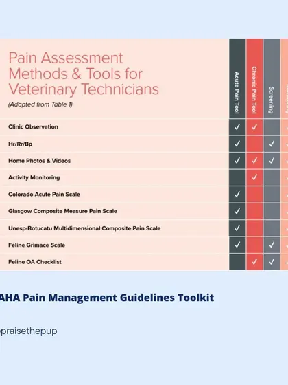 This chart from the AAHA Pain Management Guidelines shows the different tools and methods vets use to assess pain, highlighting the importance of home observation.
