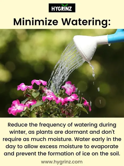 In winter, plants are dormant and need less water. This tip explains why it's important to reduce watering frequency and to water early in the day to prevent ice formation.