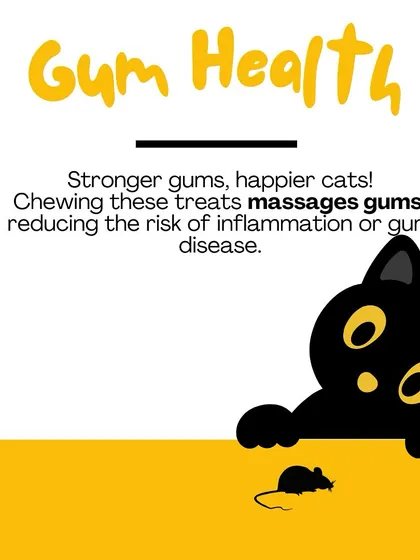 Chewing on dental treats helps massage the gums, which improves circulation and reduces the risk of inflammation and gum disease. Healthier gums are the foundation of a healthy mouth.
