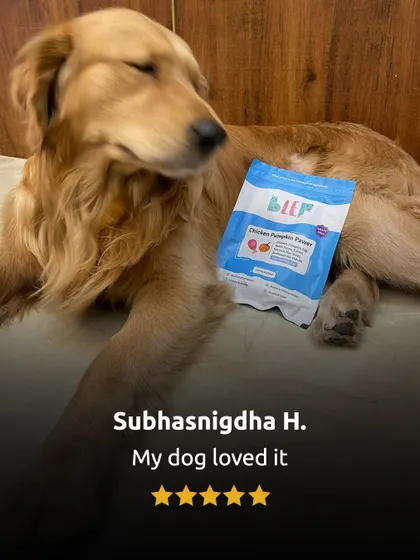 A simple, sweet review: "My dog loved it." This sleepy golden retriever looks very content with his Chicken Pumpkin Pawer.