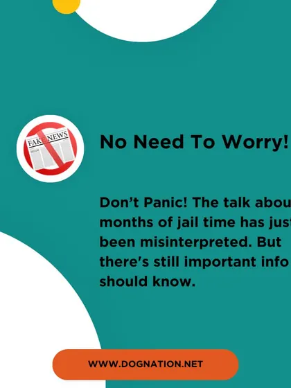 This graphic reassures pet parents that the talk of jail time for dog bites has been misinterpreted, but there is still important information to know about your responsibilities.