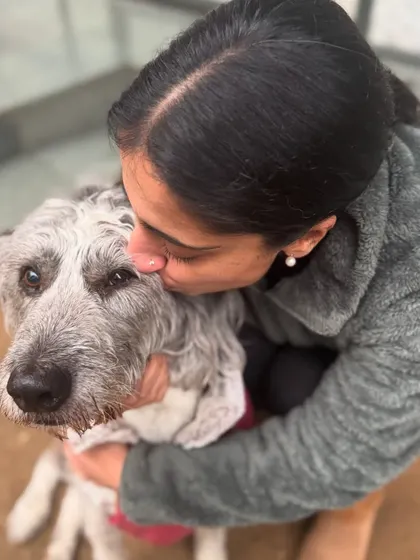 A gentle kiss for Duke. We provide extra love and patience for our senior guests, ensuring they feel safe and cherished.