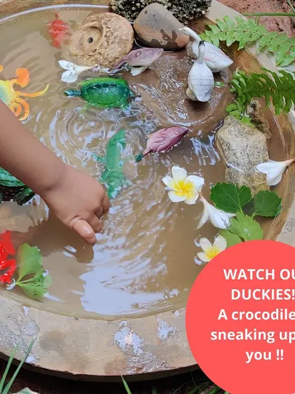 From observing flowers and bugs to playing with our miniature pond, every day is an opportunity to connect with the natural world. These activities are central to our curriculum, encouraging observation and a love for nature.