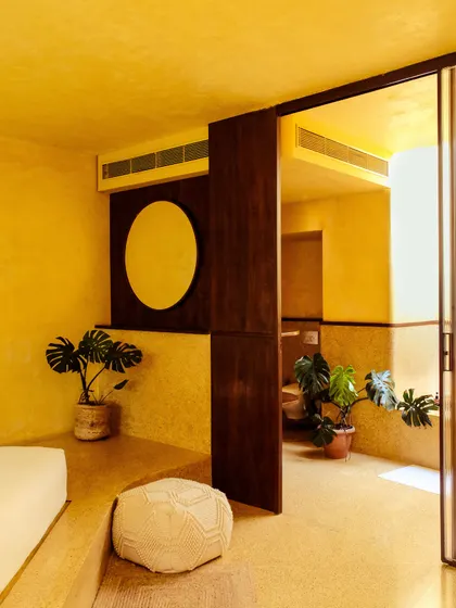 The thoughtful design of our suites includes natural elements like potted plants to enhance the feeling of tranquility.