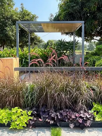 A bouquet of greens at 'Tranquil Mango Haven'. This image highlights the rich variety in my planting palette, with different shades, shapes, and textures of foliage creating a lush and vibrant garden bed.