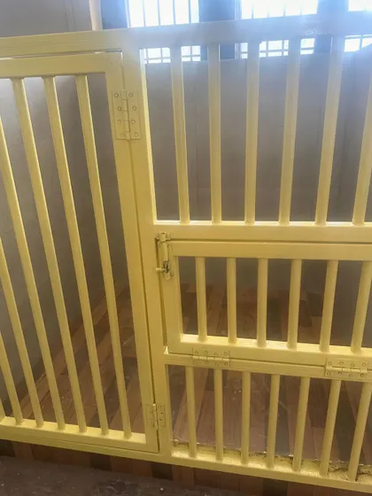 A view of one of our suites, showing the strong bars and secure construction. We built this place with safety as the top priority.