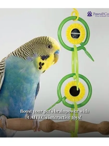 Boost your bird's brainpower with CAITEC's interactive toys. This Rings and Mirrors toy features engaging shapes, reflective surfaces, and a bell to provide sensory and mental stimulation.