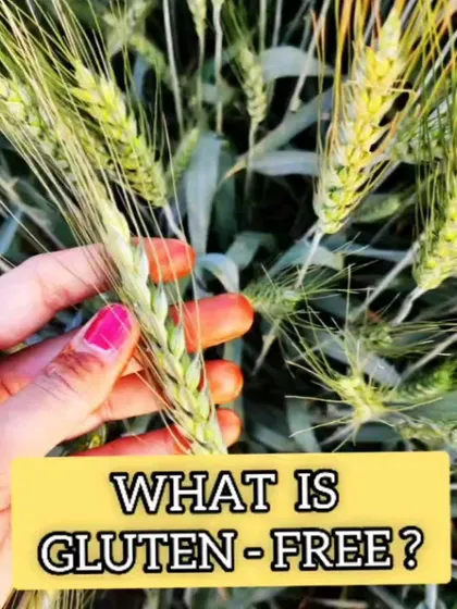 Many clients ask about gluten free diets. This post explains what gluten is and for whom a gluten free diet is necessary, such as those with celiac disease. It's important to understand the purpose before adopting a restrictive diet.