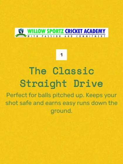 An infographic on the classic straight drive. This shot is the hallmark of a technically correct batsman, and we focus on perfecting it.