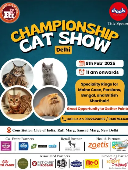 As grooming partners for the Championship Cat Show in Delhi, we helped get the participants ready for their big moment in the specialty rings.