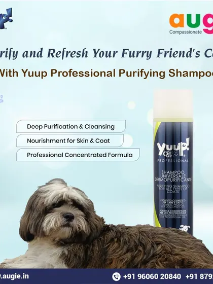 Need a deep clean? The Yuup! Professional Purifying Shampoo is our go-to. Its professional concentrated formula provides deep purification and cleansing while nourishing the skin and coat.