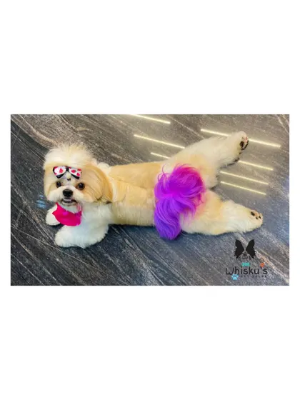 A duplicate image of Gadin, highlighting her fun and stylish purple tail.