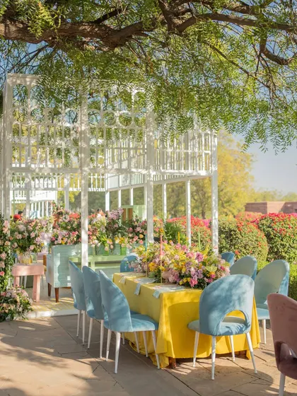 A dining area set under the shade of a tree, with a long table and modern blue chairs, offering a beautiful view of the palace gardens.