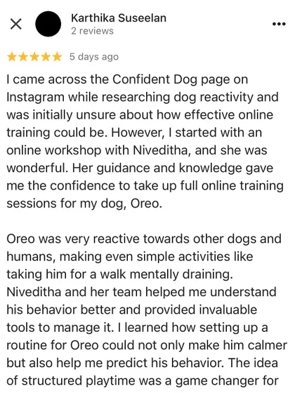 Many people are skeptical about online training, and I understand why. This review from Oreo's parent, who was initially unsure, shows the journey from doubt to confidence. It highlights how my online workshops and one-on-one sessions provide the guidance and knowledge needed to manage complex behaviors like reactivity.