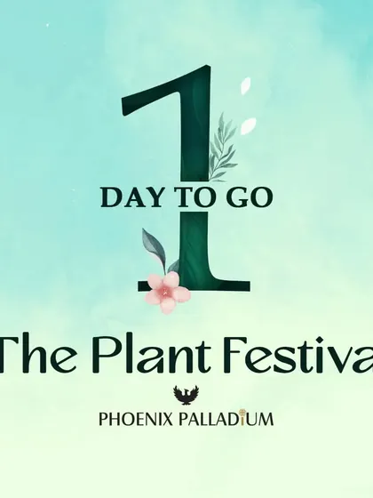 The anticipation builds with just one day to go. We pour our hearts into preparing for each festival, ensuring an unforgettable experience for everyone.