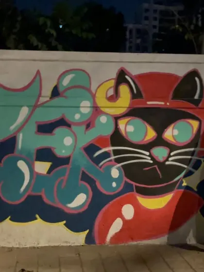 A close-up of the cool cat character in my graffiti, showcasing the clean lines and vibrant colors.