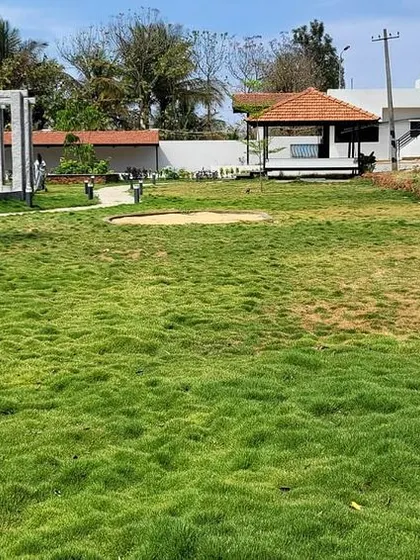 This is a duplicate of image 18. A freshly laid lawn, green and ready to grow. We use high-quality turf and our own organic soil mixes to give your new lawn the best possible start, ensuring it establishes quickly and grows into a thick, healthy carpet.
