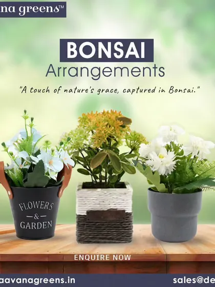 A touch of nature's grace, captured in bonsai. We offer a variety of small, elegant arrangements that are perfect for gifting or for adding a peaceful touch to your own space.