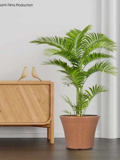 We create realistic lifestyle scenes for home decor products. This flower pot is placed in a well-lit, composed interior setting to showcase its aesthetic appeal in a natural environment.
