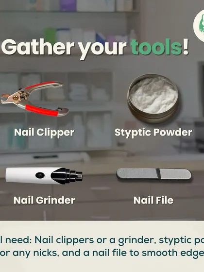 To safely trim your pet's nails at home, you'll need the right tools. We recommend a quality nail clipper or grinder, styptic powder for accidents, and a file for smooth edges.
