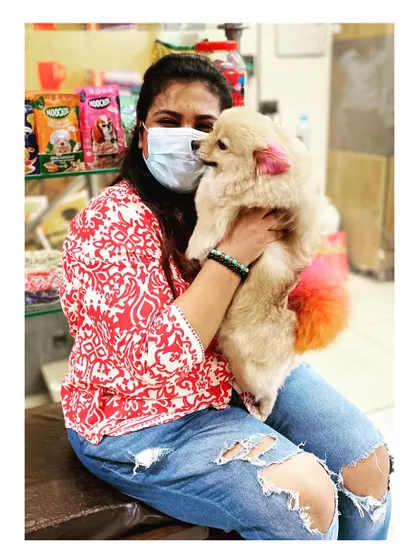This adorable Pomeranian is showing off her colorful ears and tail. A little bit of pet-safe color can add so much personality and fun.
