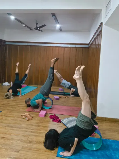 Remember you are a strong, sharp, and fiery yogi. Here, students use yoga wheels to assist with their forearm stands, adding an element of challenge and fun to their inversion practice.