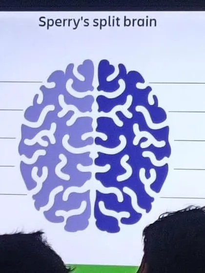 We explain the science behind our methods, like how abacus training engages both the left and right brain.